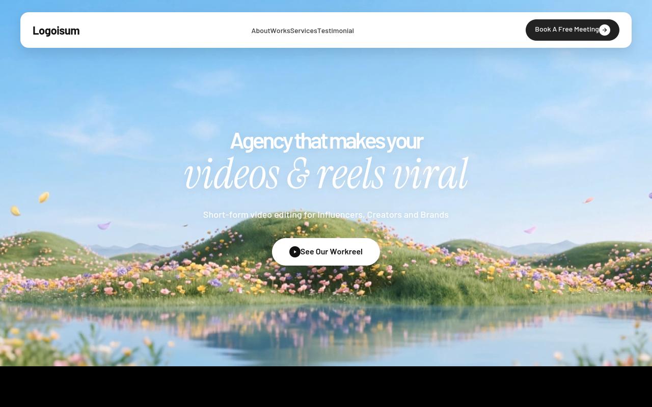 Logoisum Video Agency